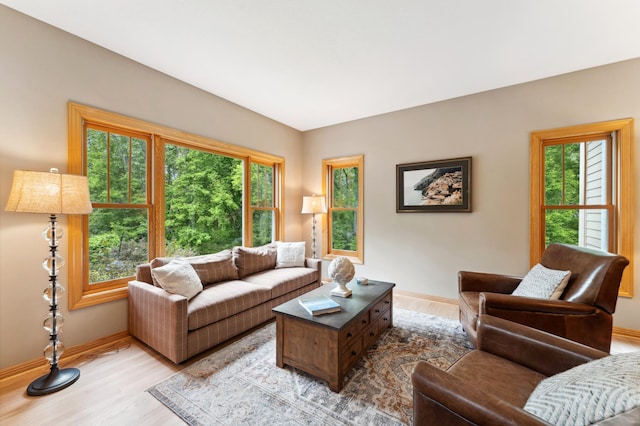 6539 Orchard Ridge Trl, Woodbury, MN 55129 - living area with baseboards and wood finished floors