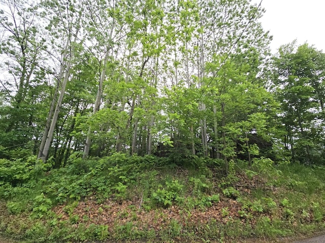9492 Shore Trl N, Forest Lake, MN 55025