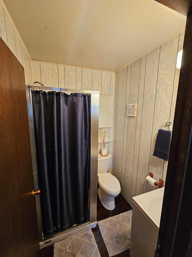 27042 Bluebill Point Rd, Garrison, MN 56450 - full bath featuring vanity, toilet, wood walls, and curtained shower