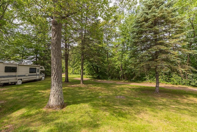 27042 Bluebill Point Rd, Garrison, MN 56450 - view of green lawn