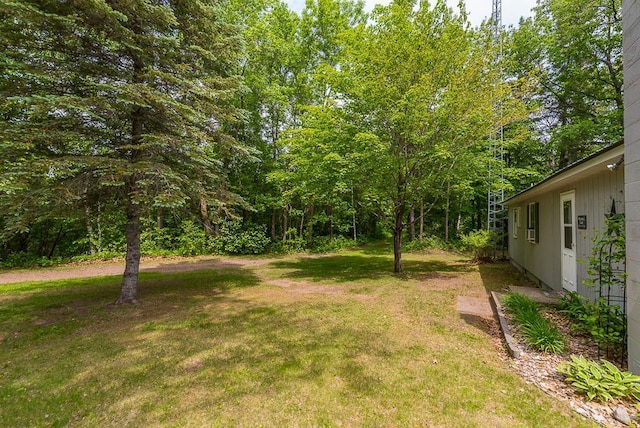 27042 Bluebill Point Rd, Garrison, MN 56450 - view of green lawn