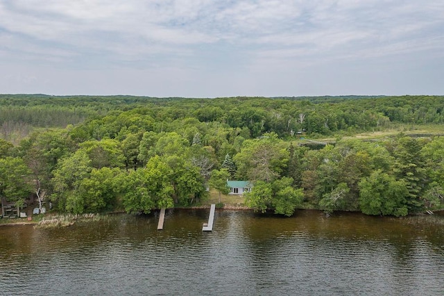 27042 Bluebill Point Rd, Garrison, MN 56450 - water view featuring a heavily wooded area