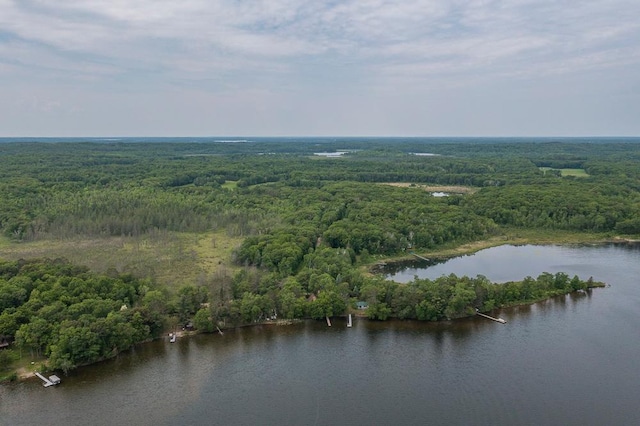 27042 Bluebill Point Rd, Garrison, MN 56450 - bird's eye view of a heavily wooded area and a large body of water