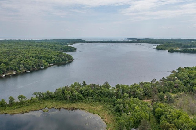 27042 Bluebill Point Rd, Garrison, MN 56450 - drone / aerial view of a large body of water and a forest