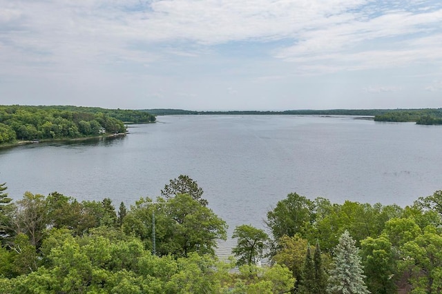 27042 Bluebill Point Rd, Garrison, MN 56450 - water view