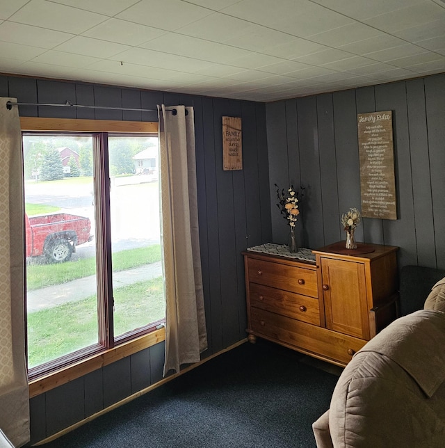 413 7th St W, Canby, MN 56220 - bedroom featuring multiple windows, dark colored carpet, and wood walls