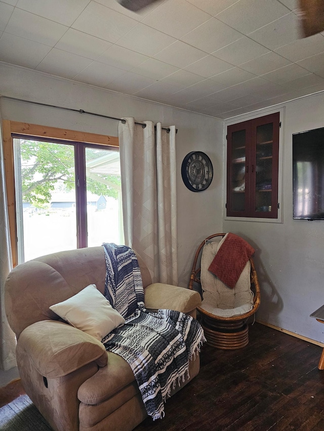413 7th St W, Canby, MN 56220 - living area featuring hardwood / wood-style flooring