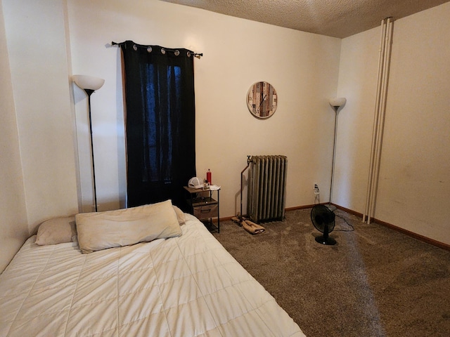 315 3rd St SW, Stewartville, MN 55976 - bedroom featuring radiator heating unit, carpet floors, a textured ceiling, and baseboards