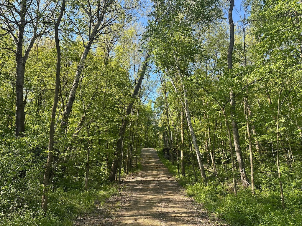 N8657 690th St, Martell Twp, WI 54022