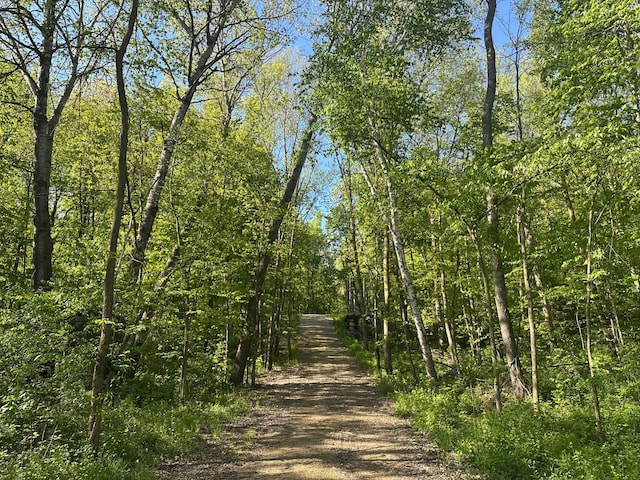 N8657 690th St, Martell Twp, WI 54022