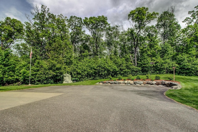 8824 Bittersweet Cir, Breezy Point, MN 56472 - view of street