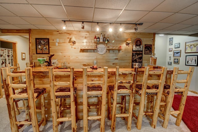 8824 Bittersweet Cir, Breezy Point, MN 56472 - carpeted dining space with wooden walls, rail lighting, a paneled ceiling, and bar area