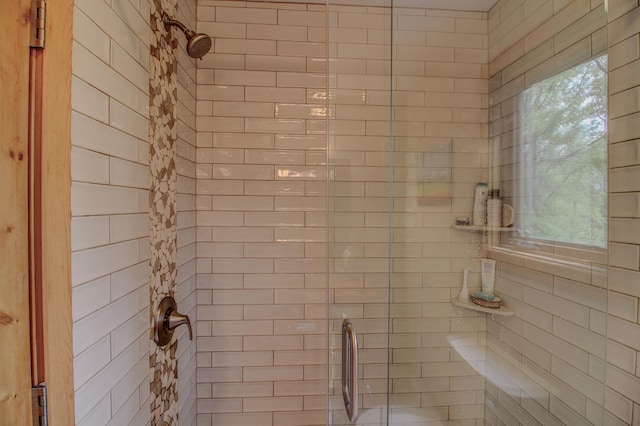 8824 Bittersweet Cir, Breezy Point, MN 56472 - bathroom with a stall shower and healthy amount of natural light