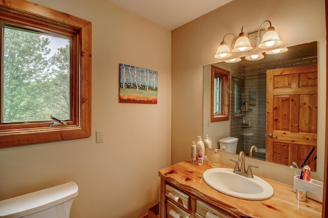 8824 Bittersweet Cir, Breezy Point, MN 56472 - full bath with toilet, vanity, and a shower
