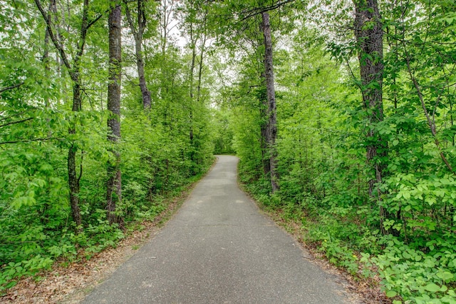8824 Bittersweet Cir, Breezy Point, MN 56472 - view of road featuring a forest view