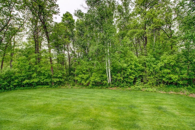 8824 Bittersweet Cir, Breezy Point, MN 56472 - view of green lawn