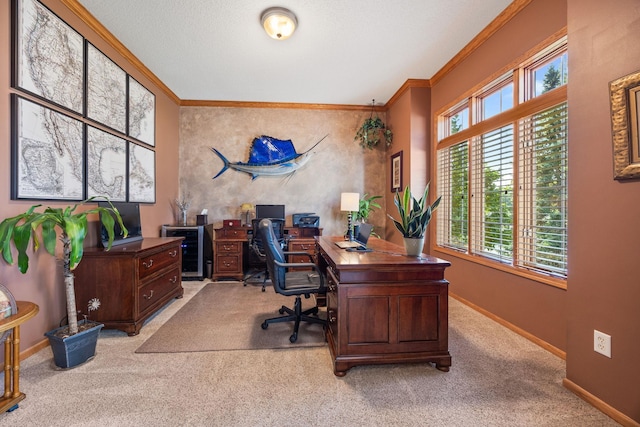 1893 White Oak Dr, Chaska, MN 55318 - office area featuring ornamental molding, light carpet, plenty of natural light, and baseboards