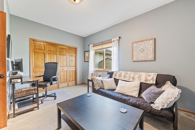 1893 White Oak Dr, Chaska, MN 55318 - home office featuring light colored carpet and baseboards