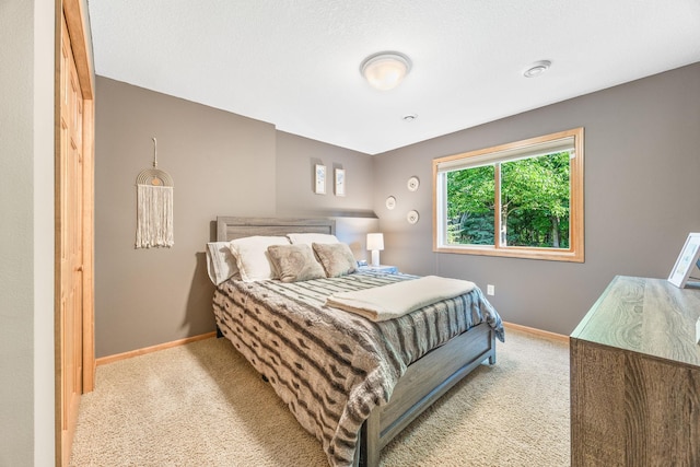 1893 White Oak Dr, Chaska, MN 55318 - carpeted bedroom with baseboards