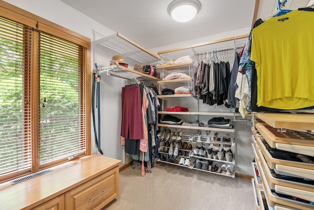 6136 Arctic Way, Edina, MN 55436 - spacious closet with carpet floors