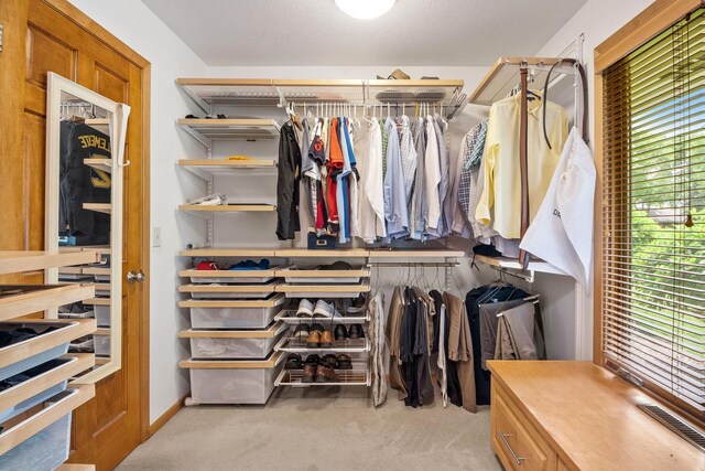 6136 Arctic Way, Edina, MN 55436 - spacious closet with carpet floors