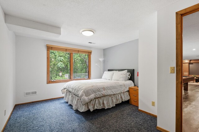 6136 Arctic Way, Edina, MN 55436 - bedroom with dark carpet and a textured ceiling