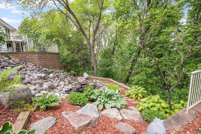 6136 Arctic Way, Edina, MN 55436 - view of yard