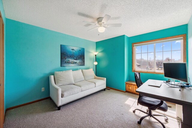1403 9th St SE, New Prague, MN 56071 - photo 26