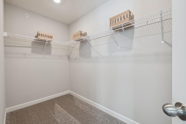 6272 205th St N, Forest Lake, MN 55025 - walk in closet featuring carpet floors