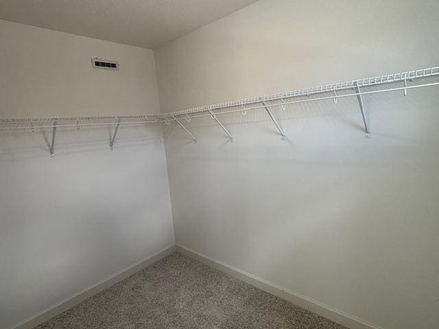 6272 205th St N, Forest Lake, MN 55025 - spacious closet featuring carpet flooring
