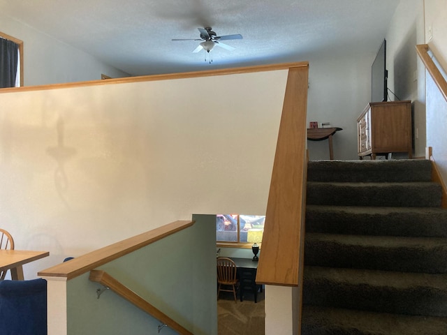 1496 Willard Lake Rd NW, Powers Twp, MN 56435 - stairs with ceiling fan and carpet flooring