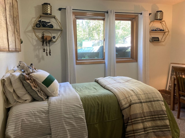 1496 Willard Lake Rd NW, Powers Twp, MN 56435 - bedroom with carpet