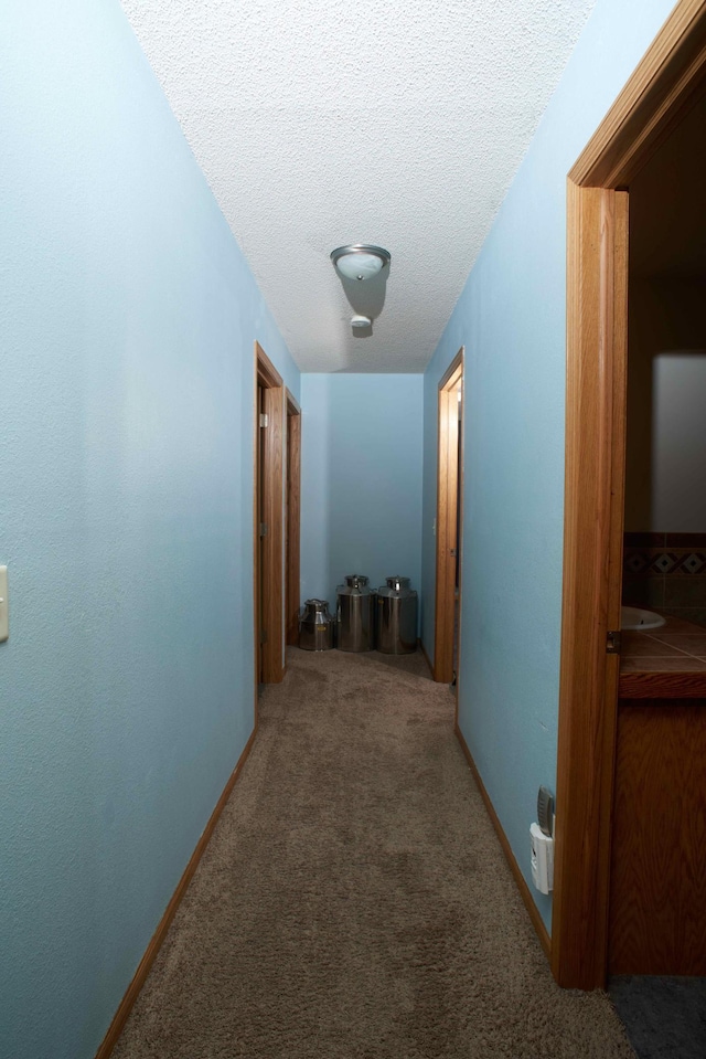 1496 Willard Lake Rd NW, Powers Twp, MN 56435 - hall featuring carpet and a textured ceiling
