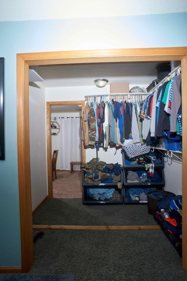 1496 Willard Lake Rd NW, Powers Twp, MN 56435 - spacious closet with carpet