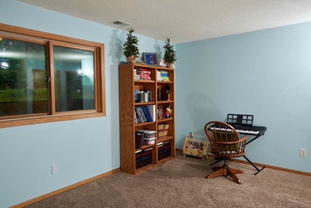 1496 Willard Lake Rd NW, Powers Twp, MN 56435 - home office with carpet flooring and a textured ceiling