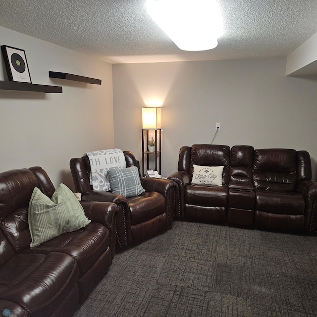 849 11th Ave W, West Fargo, ND 58078 - home theater room with dark colored carpet and a textured ceiling