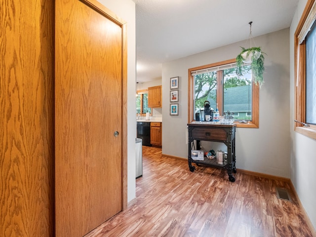 21534 275th Ave, Glenwood Twp, MN 56381 - hall with light wood-style floors and baseboards