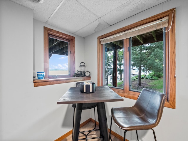 21534 275th Ave, Glenwood Twp, MN 56381 - dining space featuring a paneled ceiling and baseboards
