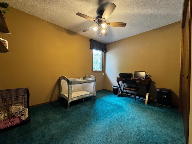 802 Estates Ave, Litchfield, MN 55355 - office space featuring ceiling fan, a textured ceiling, and carpet floors