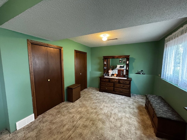 802 Estates Ave, Litchfield, MN 55355 - bedroom with a textured ceiling, two closets, and carpet floors
