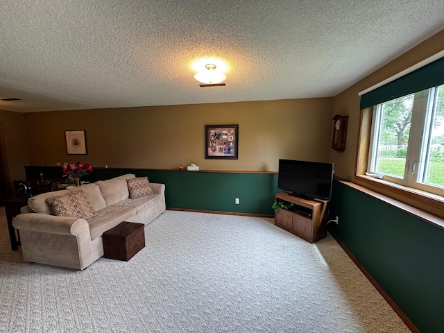 802 Estates Ave, Litchfield, MN 55355 - living room featuring carpet floors, a textured ceiling, and baseboards