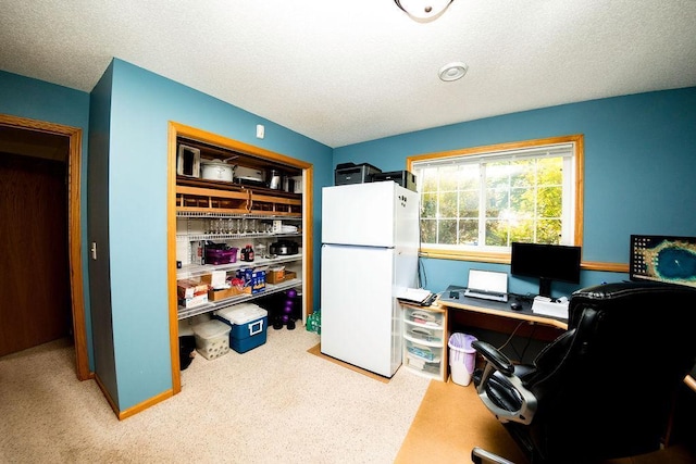2030 Joes Lake Rd SE, Cambridge, MN 55008 - carpeted home office with a textured ceiling