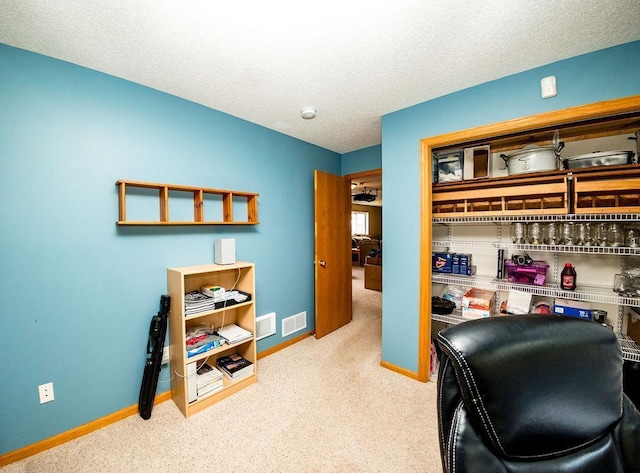 2030 Joes Lake Rd SE, Cambridge, MN 55008 - carpeted office space with a textured ceiling and baseboards