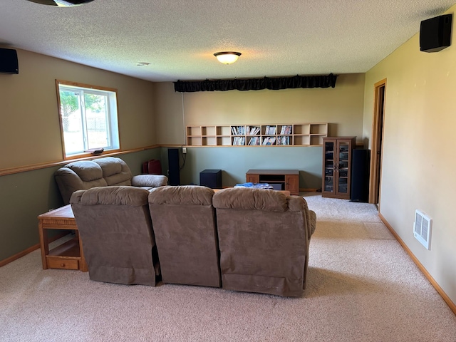 2030 Joes Lake Rd SE, Cambridge, MN 55008 - living area with carpet flooring and a textured ceiling