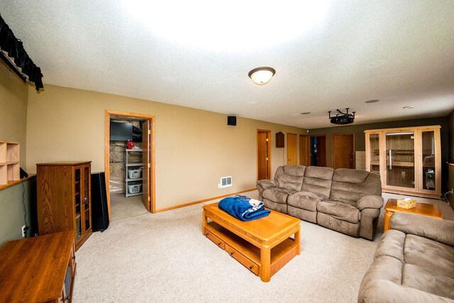 2030 Joes Lake Rd SE, Cambridge, MN 55008 - living area with carpet and a textured ceiling