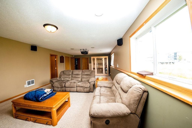 2030 Joes Lake Rd SE, Cambridge, MN 55008 - living room featuring carpet flooring and baseboards