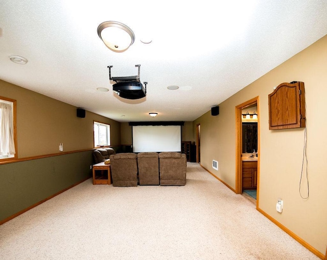 2030 Joes Lake Rd SE, Cambridge, MN 55008 - cinema room with light carpet and baseboards
