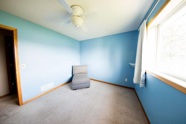 2030 Joes Lake Rd SE, Cambridge, MN 55008 - unfurnished room with carpet floors and a ceiling fan