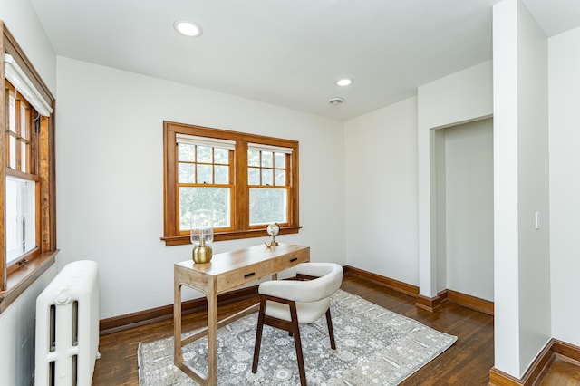 925 6th St SW, Rochester, MN 55902 - photo 56