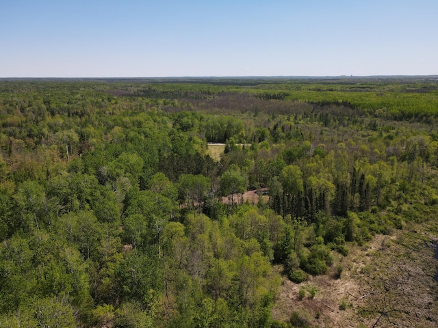 LOT1 Hanson Lake Rd, Lawrence Twp, MN 55744